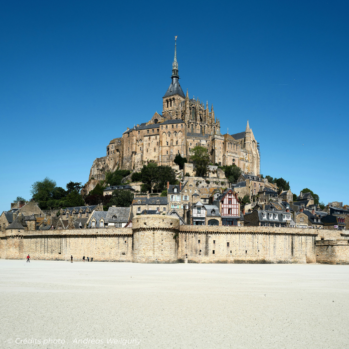 foire de paris carre